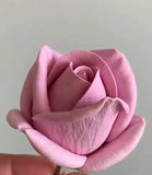 Forma Róży Maria Duża