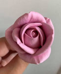 Forma Róży Maria Mała